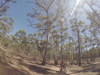 Plantation Track - You Yangs