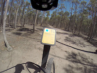 you yangs bike tracks