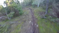 Övre döden
