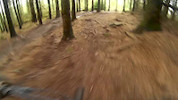 Taking a bail over a rooty section