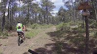Sendero del Elk
