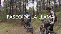 paseo de la llama