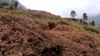 VeeTireCo advertise made in Lombo's track