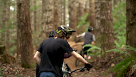 Days in the Woods