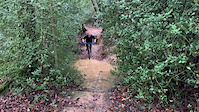 The Jibberish Project 1