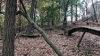 Yellow Trail Skinny