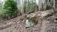 Sexual Soil Last Drop