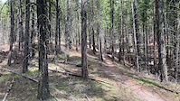 Public Isolation - Scott Cooke -Smith Creek
