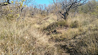 KGM Trail, some top sections