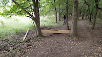 New tree jump