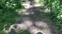 Short run in southern part of the park