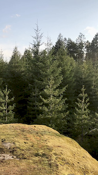 Looking out towards Wolf Mountain & Mt. Benson