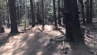 Trail riding