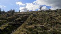 Jumps on Lockdown trail