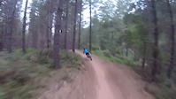 Crash at Bright, Australia