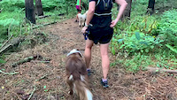 Benji on the last day of building the trail