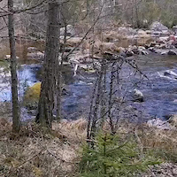 Stigen vid Rogsån