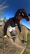 Ride with BMX kids