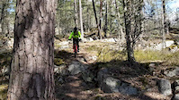 His first time in the wood