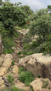 Despres de la llosa