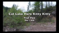 Cat Lake Here Kitty Kitty