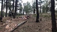 Faceplanting a tree