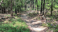 Fast and Loose at Pine