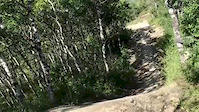 Party Laps in summer of 2019