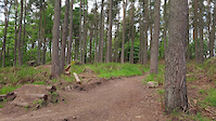 Culter jump track