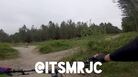 Cannock Chase - Monkey Trail - Deer Skull