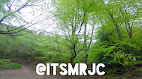 Cannock Chase - Monkey Trail - Insidious Incline