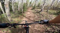 Breck crash