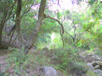 Romero Canyon ST