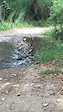 Fun water crossing