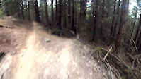 Squid Run - Queenstown Mountain Biking Trail