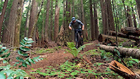 Dirt Surfin'