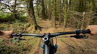 Tyn Y Coed / Pentyrch DH Trails