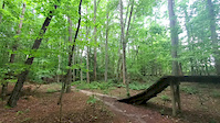 Big Table Top at the End of C