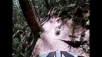 High school trail seymour