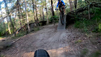 Sugar bag MTB Trails