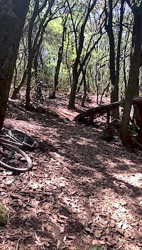 First day with a full suspension bike