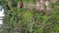 Crash alta tensión