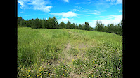 In the Bush and in the Field