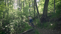 Trailside log rides