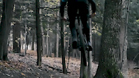 Tree Tap