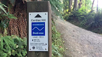 Cardiac hill on the cargo bike!