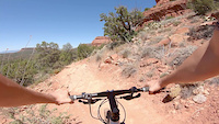 Bees and Cliffs Try to Kill Me in Sedona
