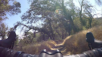 Pinetos Gravel