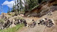 Rockface and Drop off at Trail 10b, Overlander...