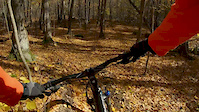 Hunting Target